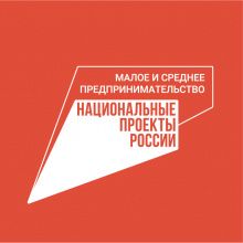 Рекордную сумму 1 трлн рублей получили МСП под поручительства Национальной гарантийной системы в 2023 году