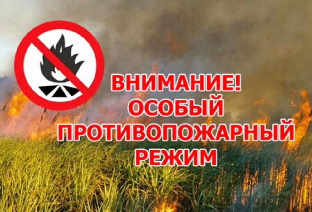 На территории Томской области установлен особый противопожарный режим